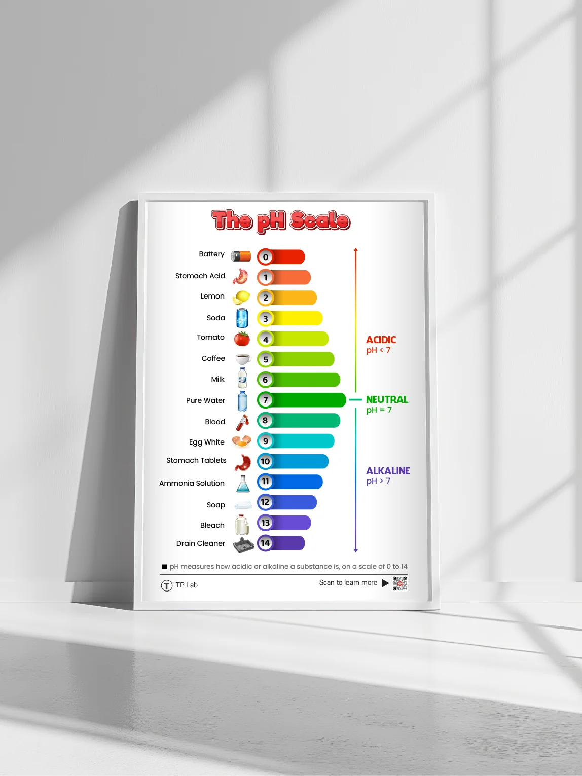 The pH Scale – Colorful and Informative Poster product image (11)