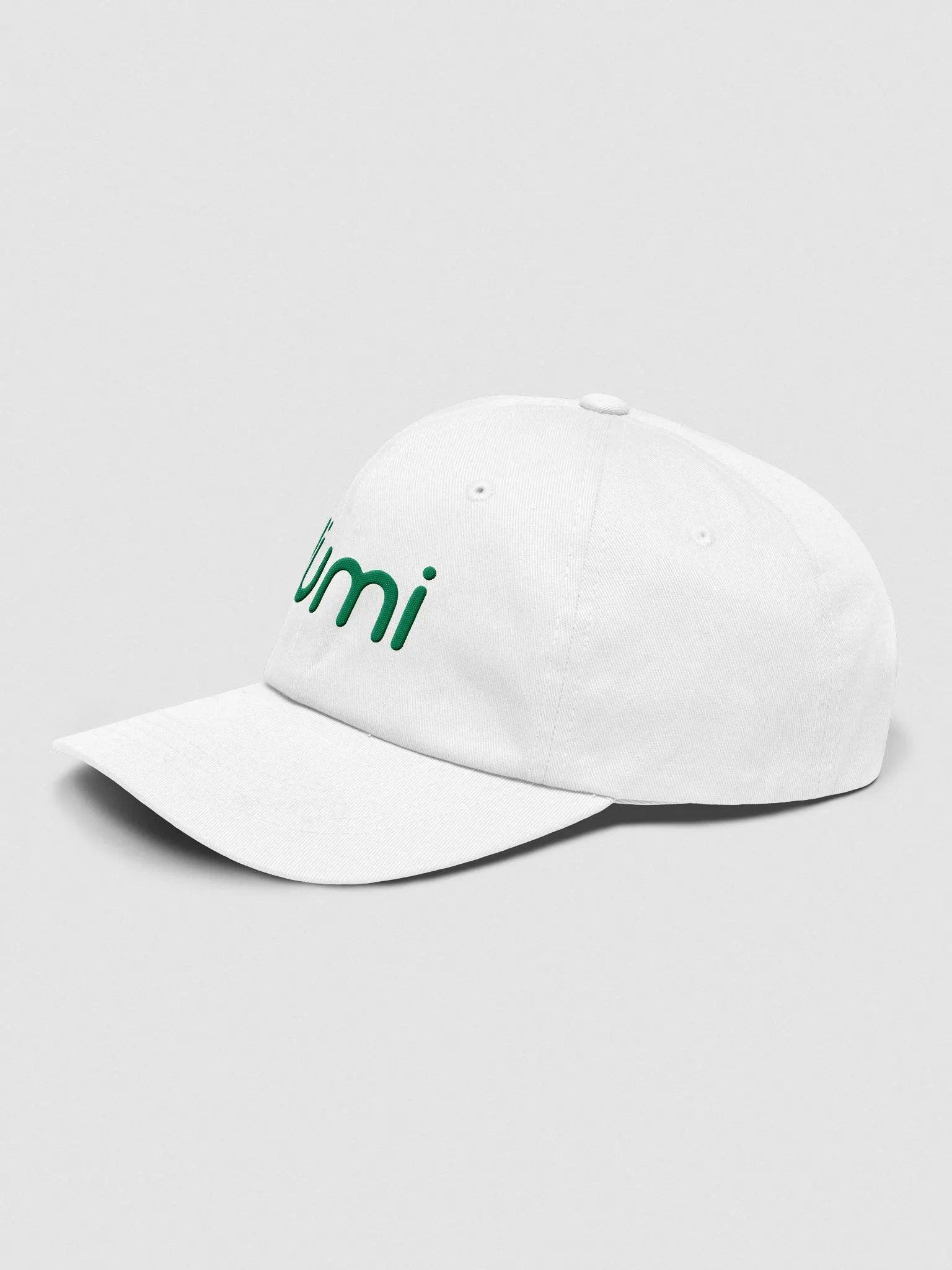 Lumi Dad Hat product image (8)
