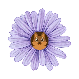 Daisy