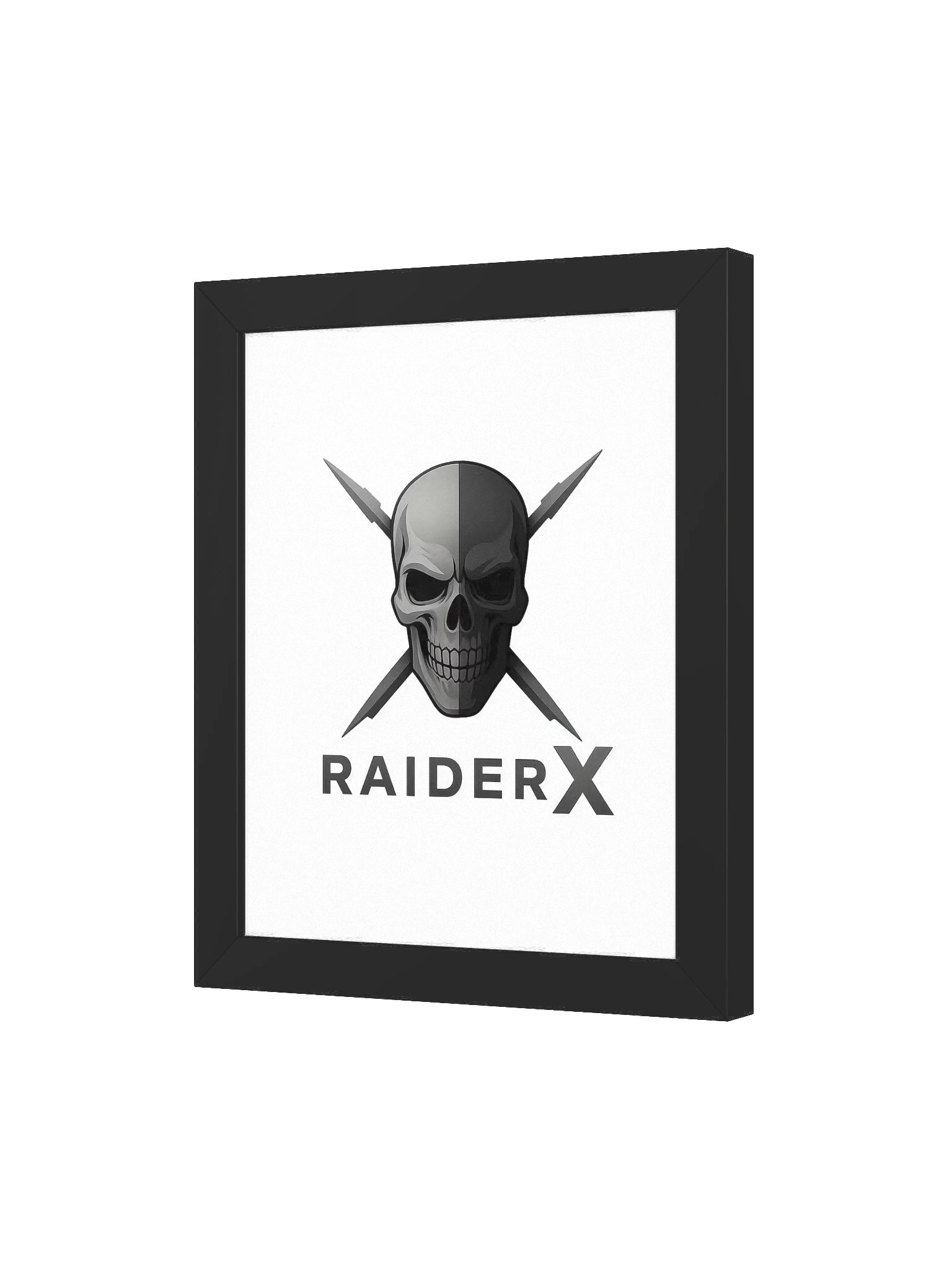 Raider-X product image (16)