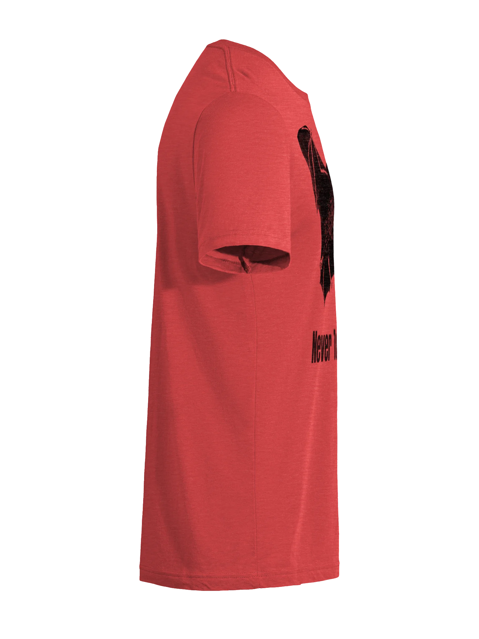 Never Touch a Bat (triblend) product image (12)