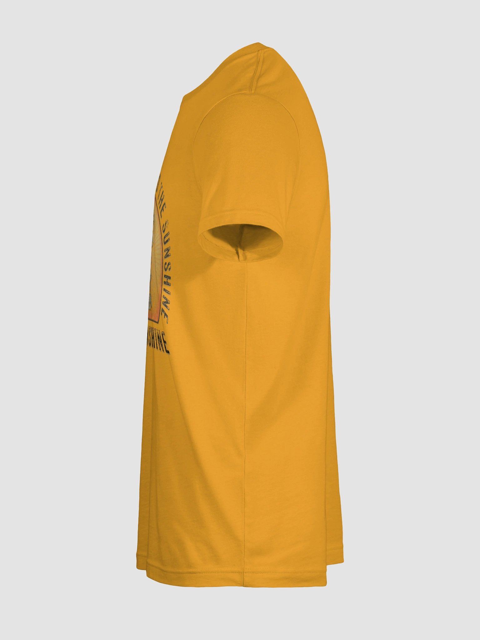 Be The Sunshine Faded Tee product image (95)