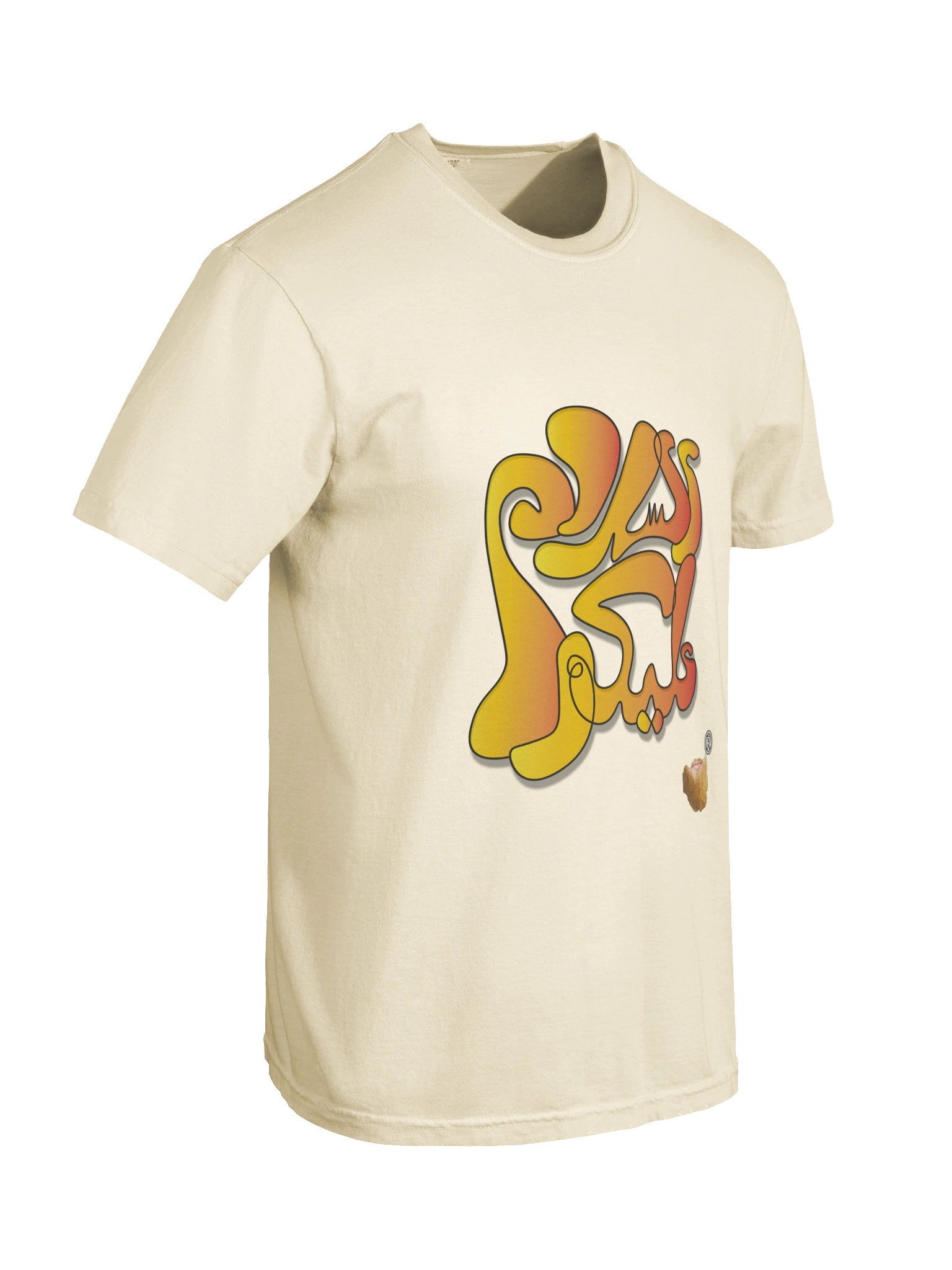 Le Pacte du Salam product image (6)