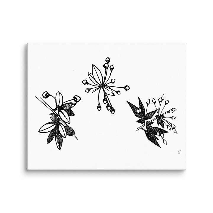 Blank Canvas Masterpieces - Stylized Plants product image (1)