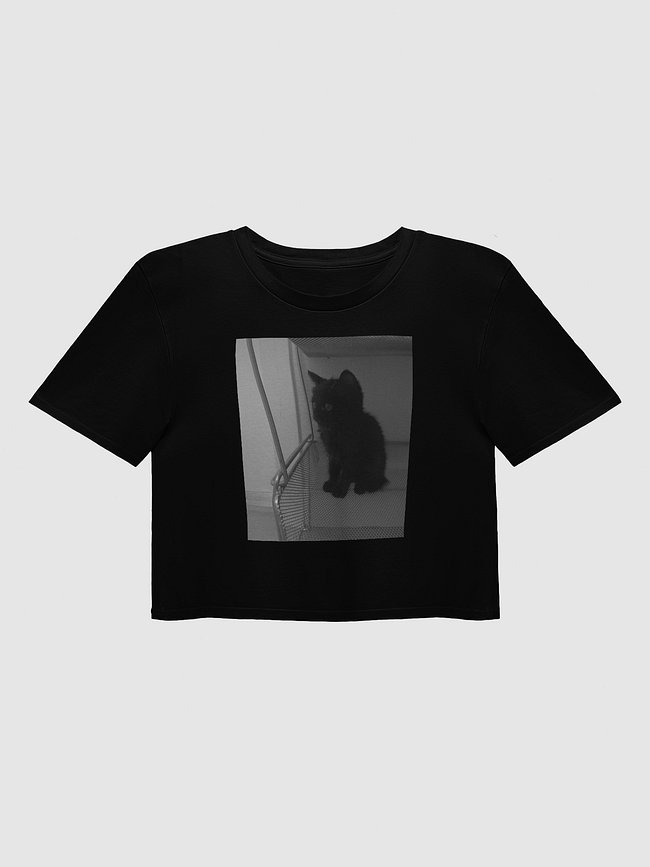T-Shirts & Crop Tops