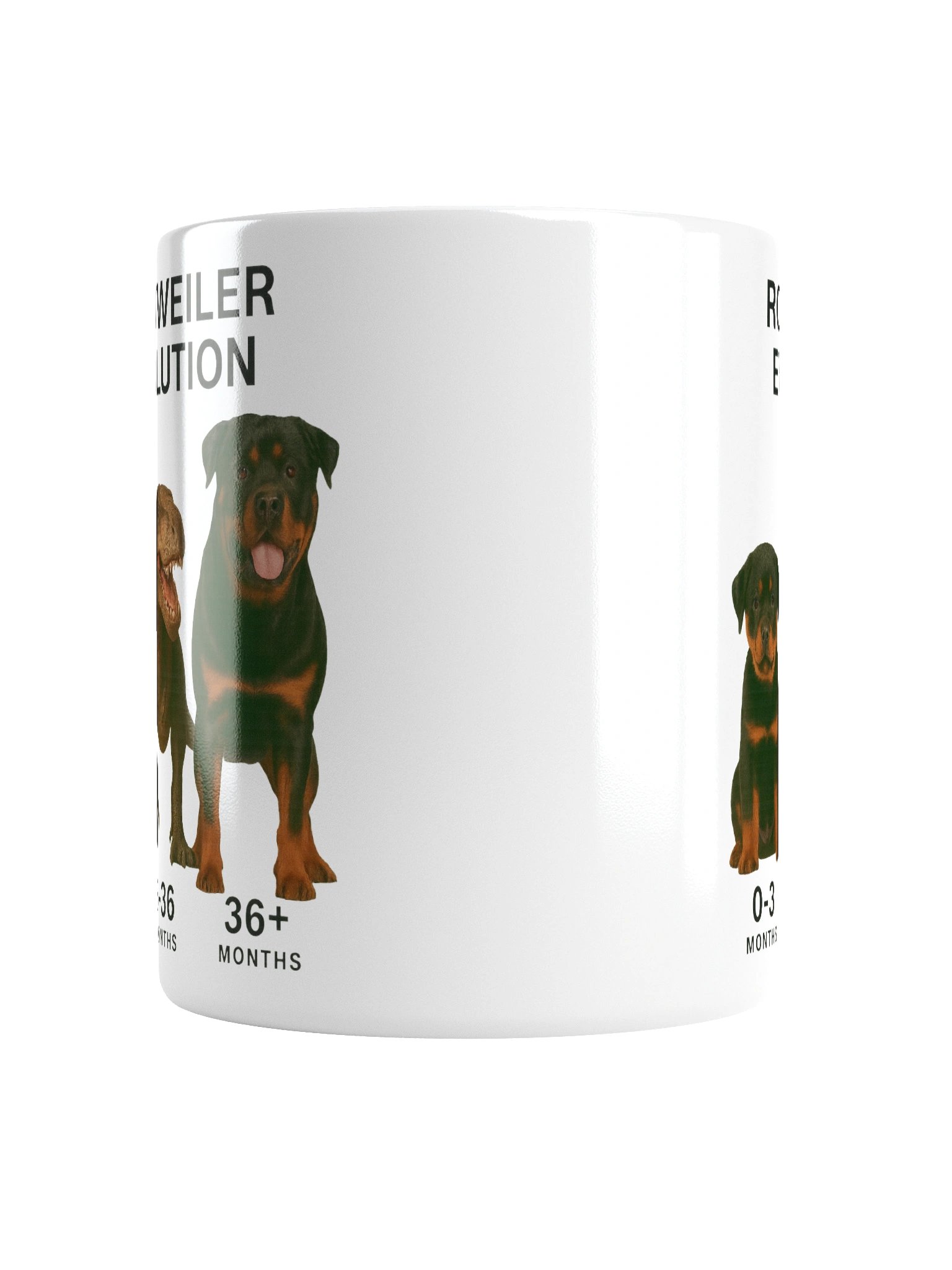 Rottweiler Evolution Mug product image (16)