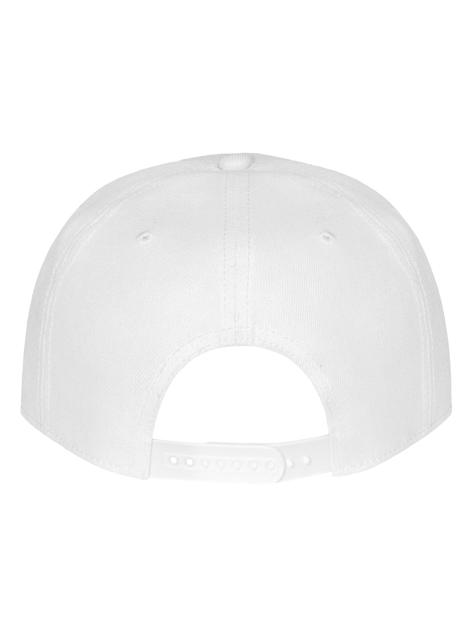 Black River Co. Hat | Snapback product image (4)