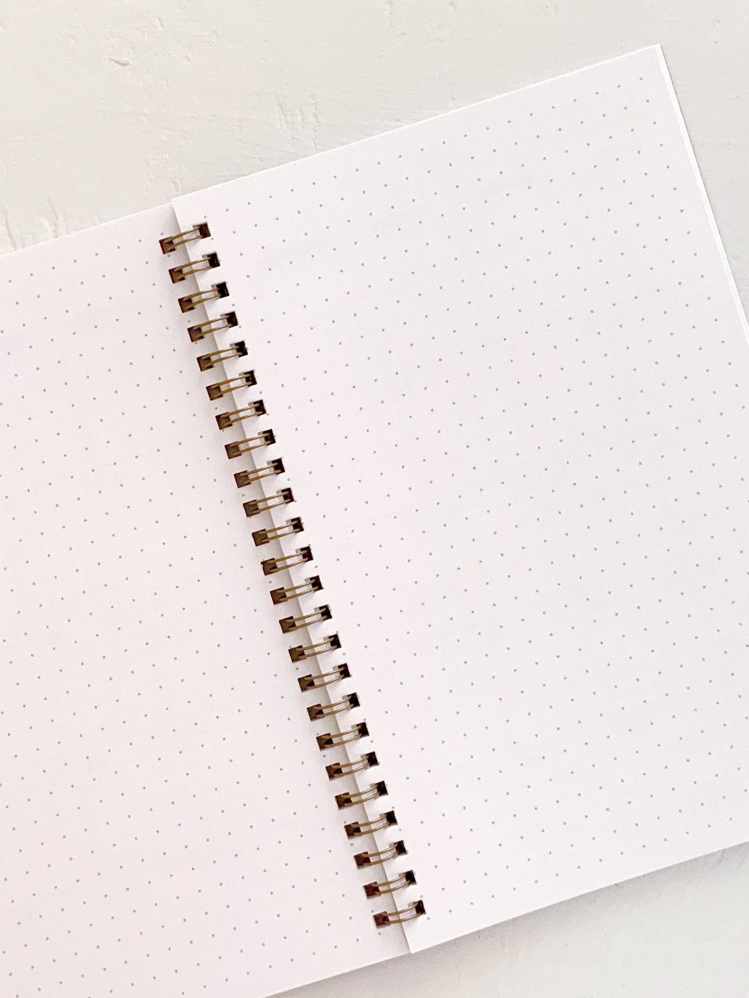 "HE WILL ROAR FROM ZION" Spiral Notebook product image (4)