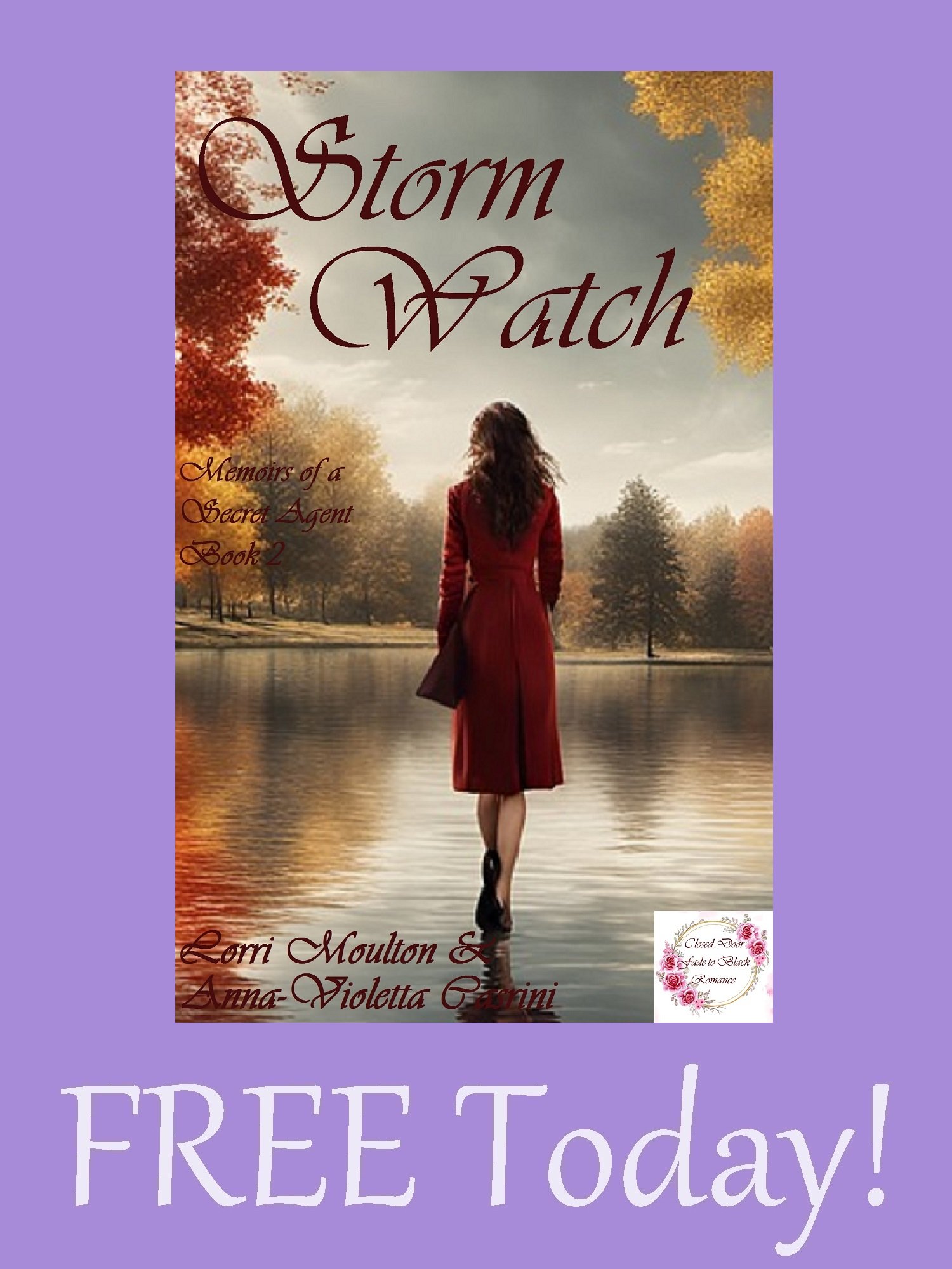 Storm Watch EBOOK - FREE Today! product image (1)