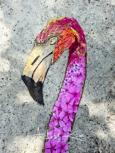 Flamingo Sunset 🦩🌿 Prints available (link in bio) #natureart #artinnature #artofinsta #landart #flamingo