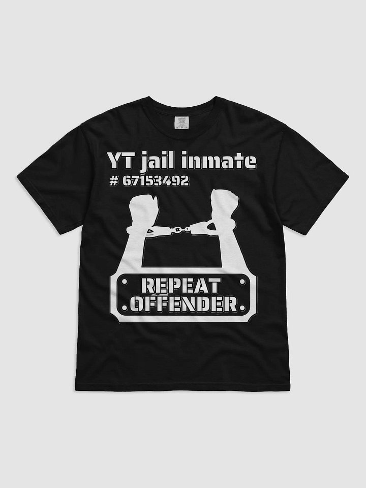 YT JAIL INMATE REPEAT OFFENDER product image (4)