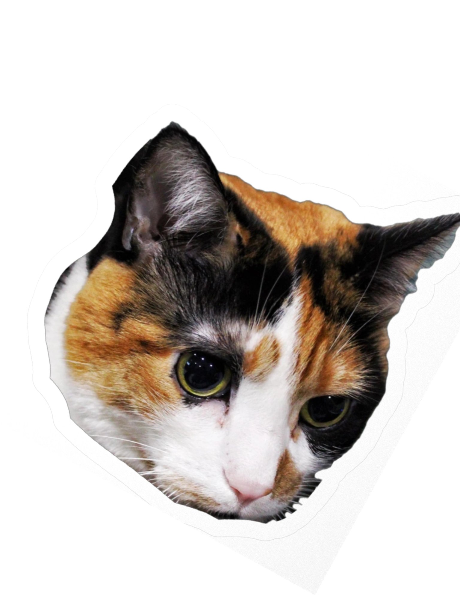 Captain Noodle Sticker product image (8)