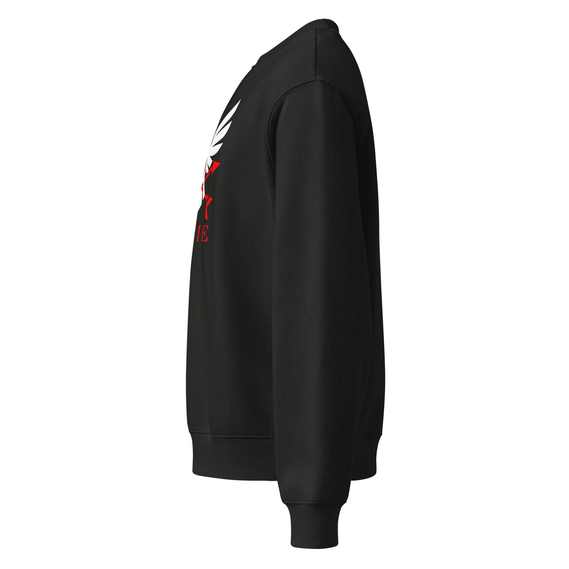 9thFire Unisex Oversized Heavyweight Sweatshirt product image (3)