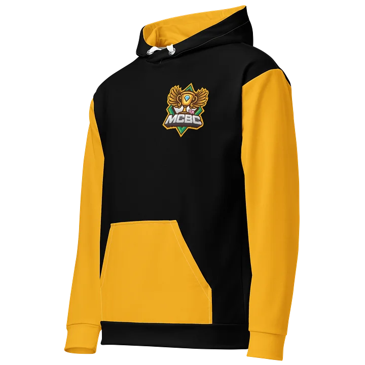 Team Hoodie (BLACK) product image (2)