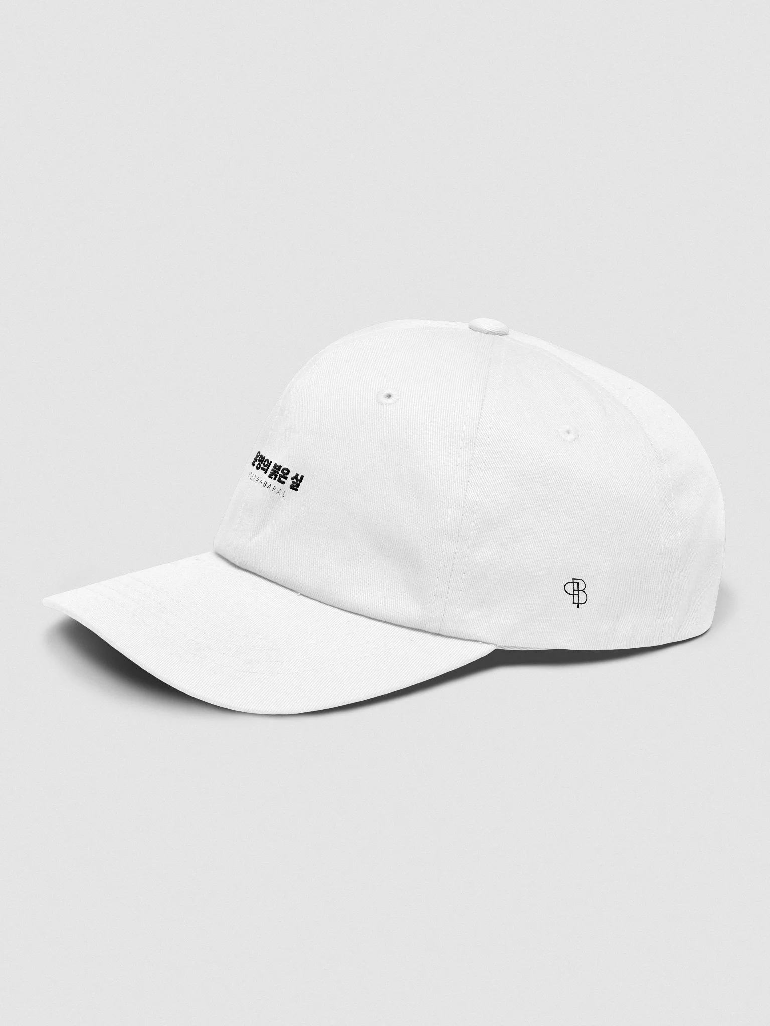 TRTOF Dad Hat product image (12)