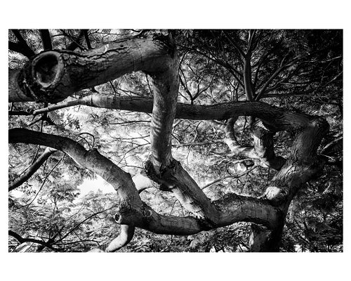 📷 Ricoh GR IV
28mm • f/3.5 • 1/250s • ISO 500
Edited with my custom Lightroom Presets (link in the bio)

#ricohgriv #blackand...