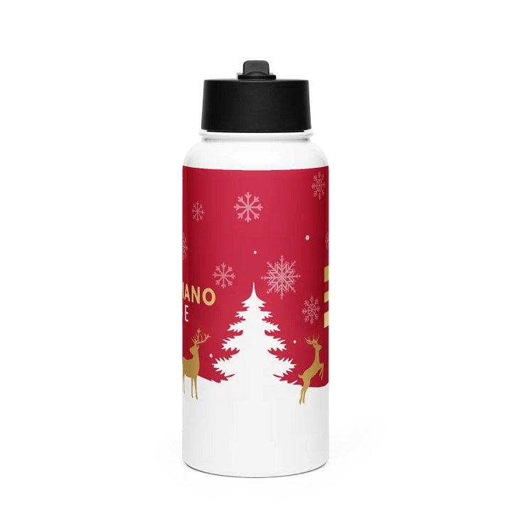 Winter Wonderland - Stainless Steel Water Bottle with a Straw Lid (Gijs Piano LIVE) product image (1)