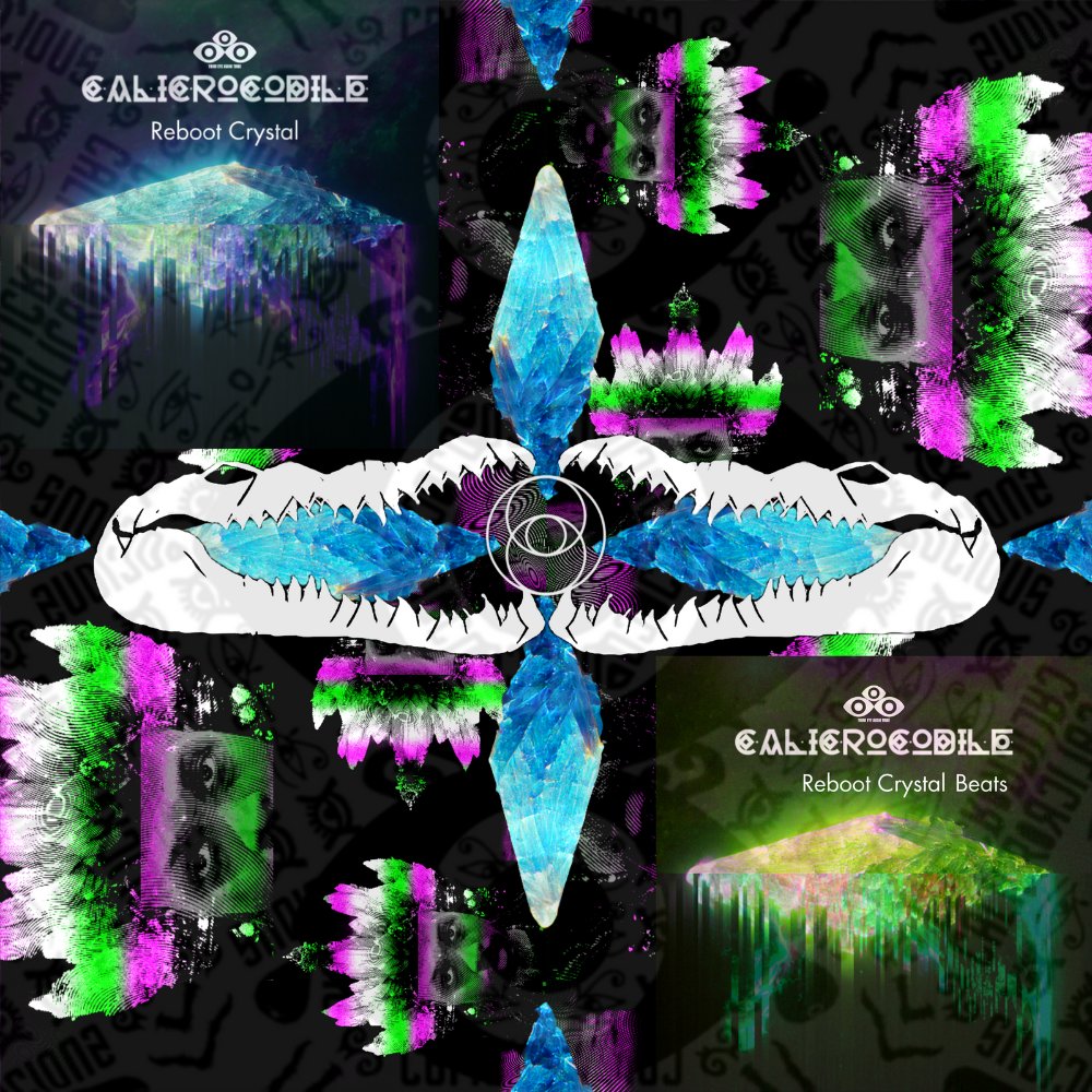 The Reboot Crystal Project + 2023 [FULL YEAR BUNDLE] product image (1)