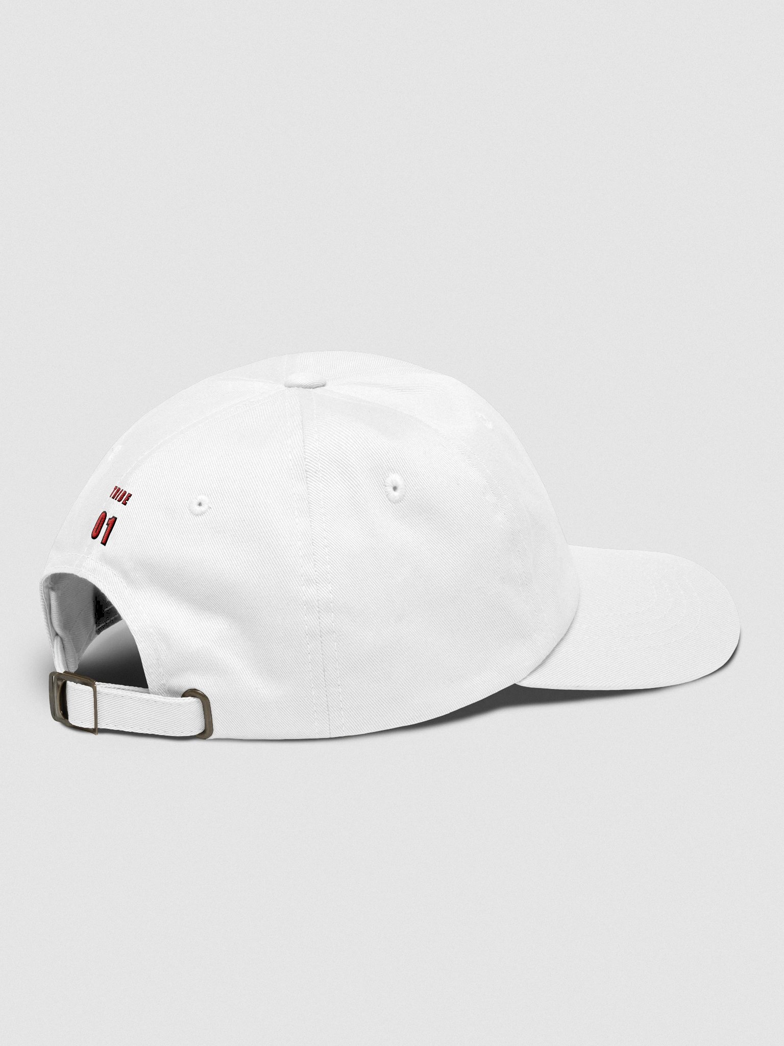 THE INCOGNITO CAP product image (8)