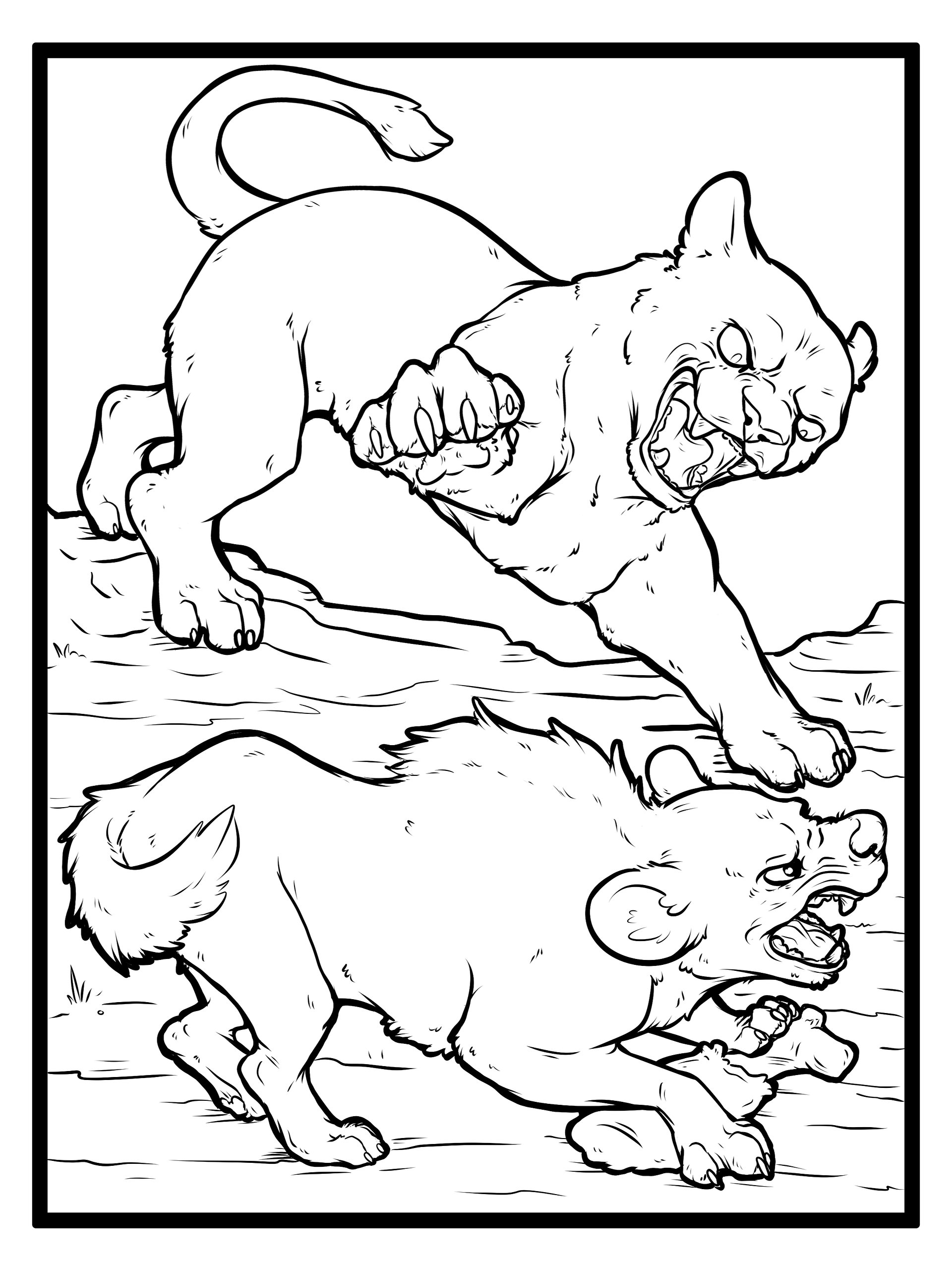 African Lion Collection - Coloring Pages product image (10)