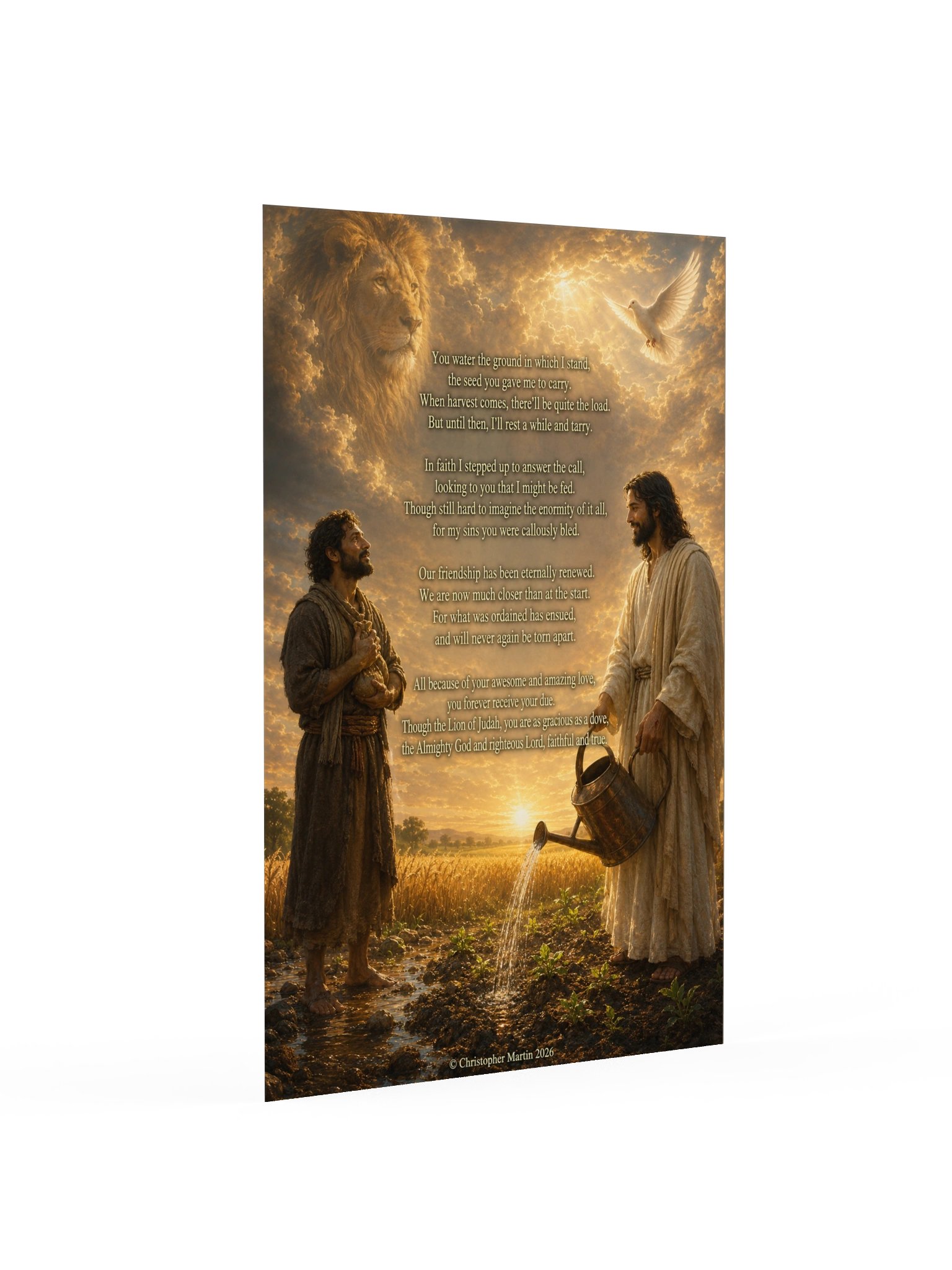Abundant provision product image (2)