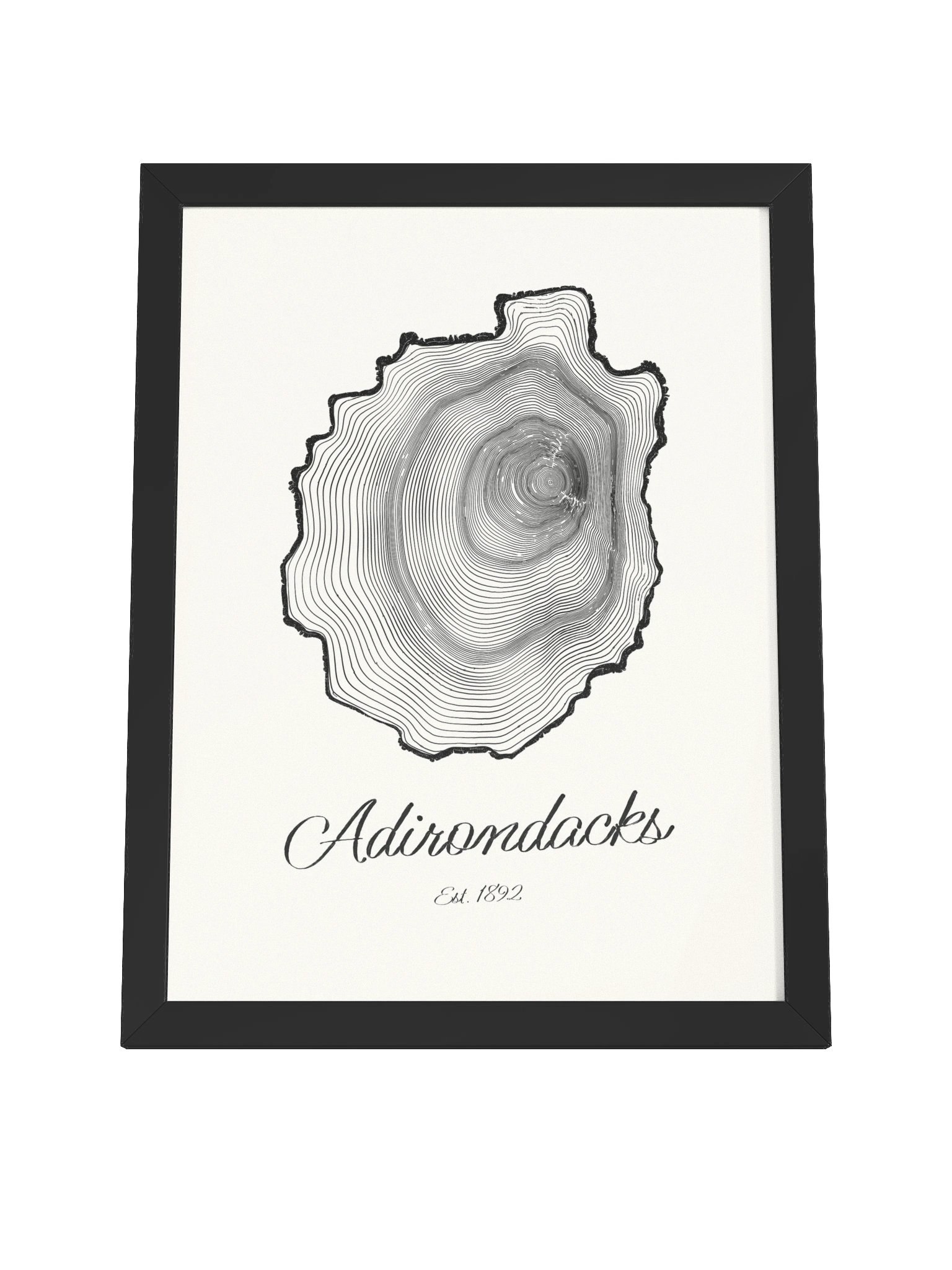 Adirondack Park Tree Ring Framed Print product image (23)