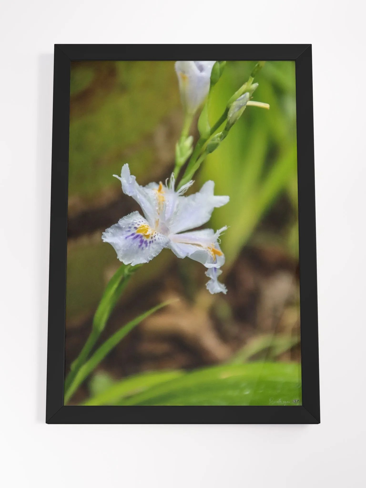 🌱Print Fine Art – The Whisper of Hidden Soil product image (4)