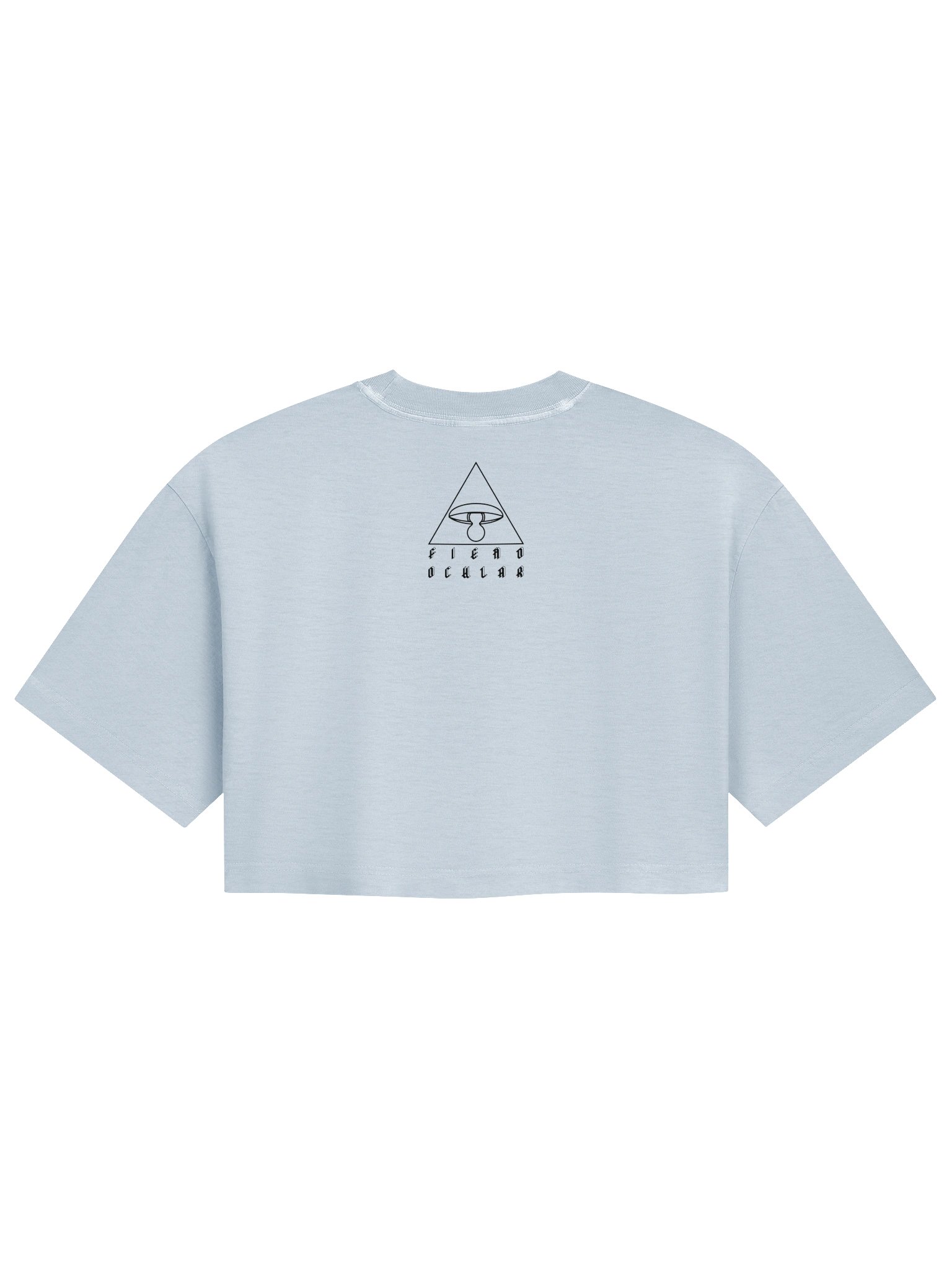 Fly Baby! Crop Top product image (2)