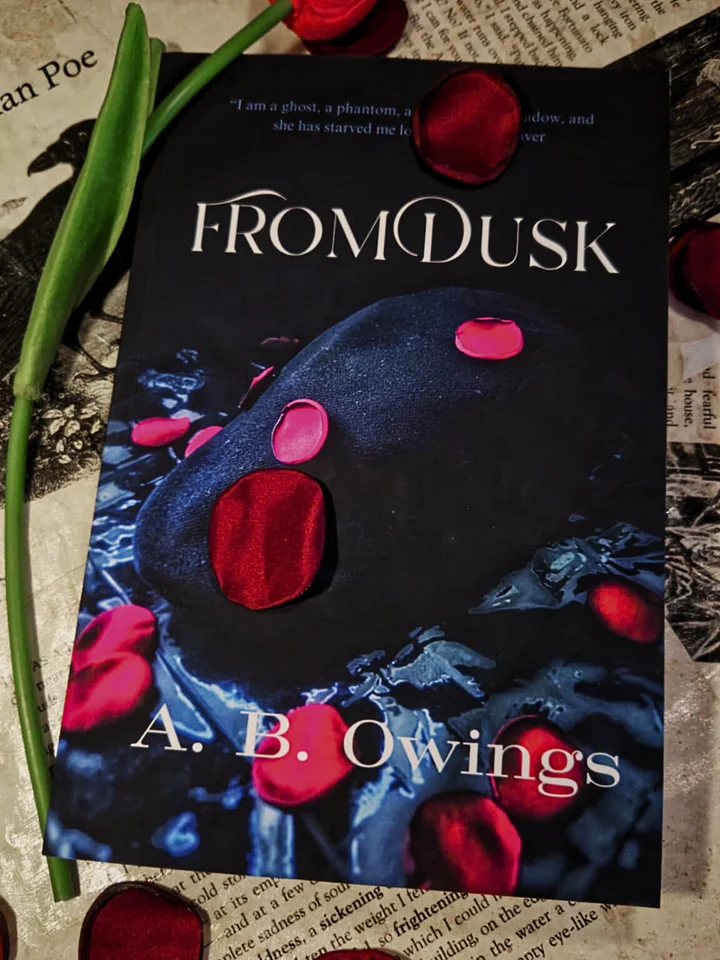 From Dusk (Book 1 of TNT) paperback product image (1)