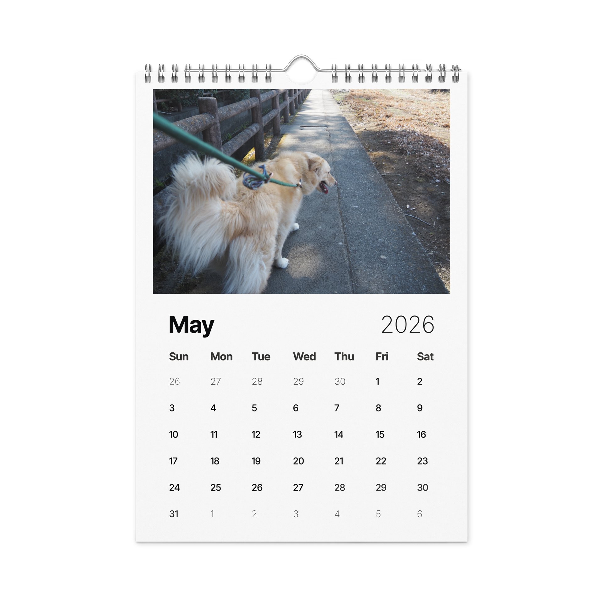 Milo's Life 2026 Wall Calendar product image (3)