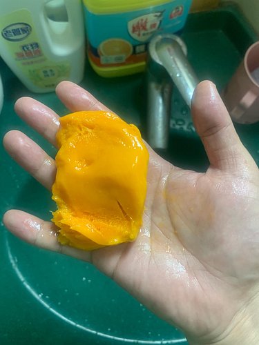 I’m eating mango 🥭 as reward. Very yellow very yummy I like it
