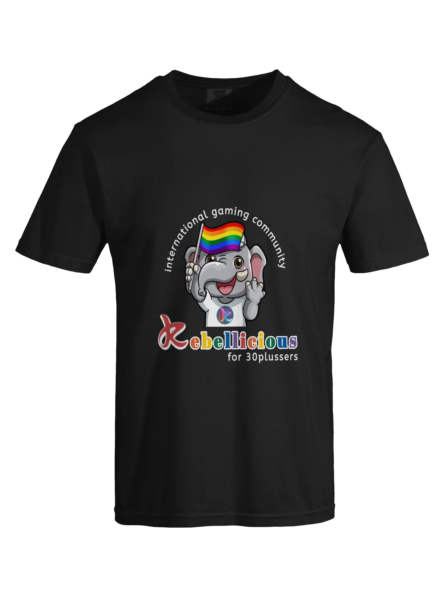 Comfort Colors Pride T-shirt product image (96)