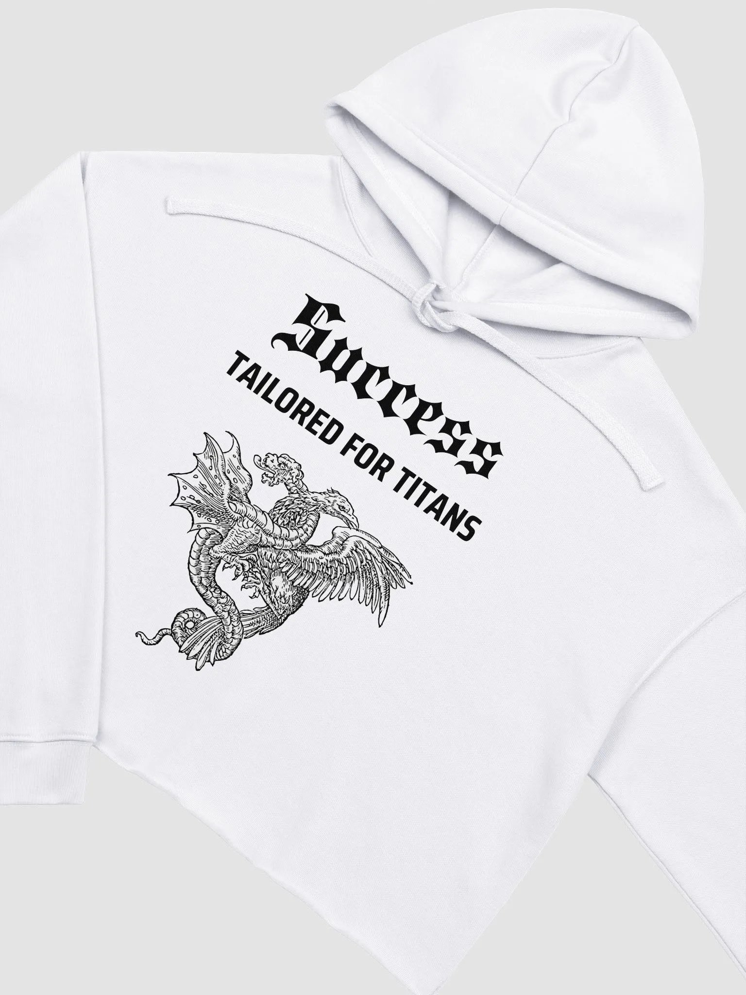 Success Tailored for Titans Cropped Hoodie product image (3)