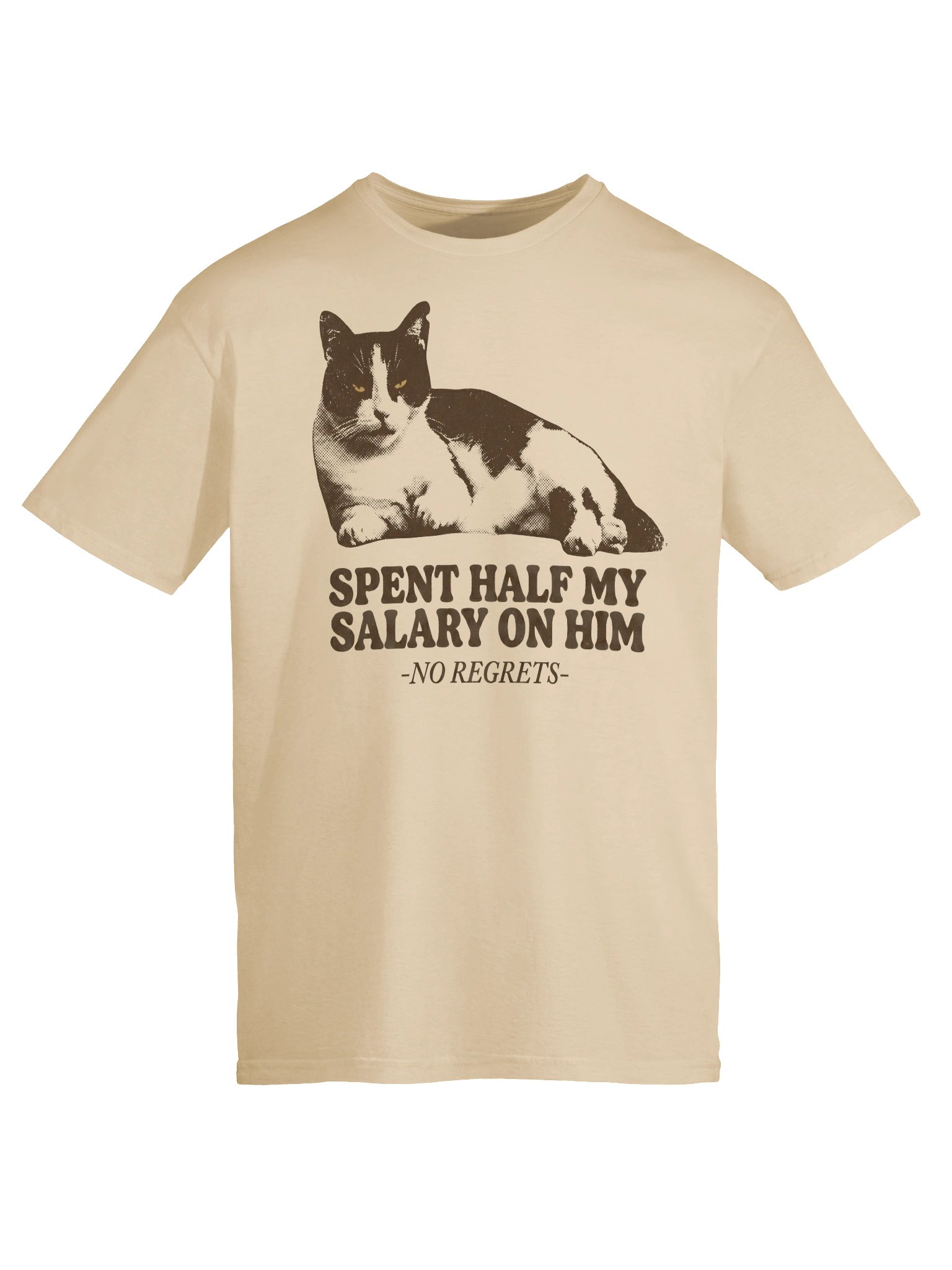 Spent My Salary Cat T-Shirt product image (21)