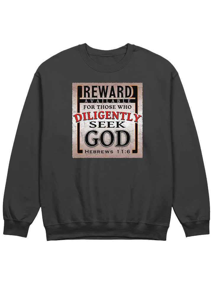 Reward For Those Who Diligently Seek God Sweatshirt product image (1)