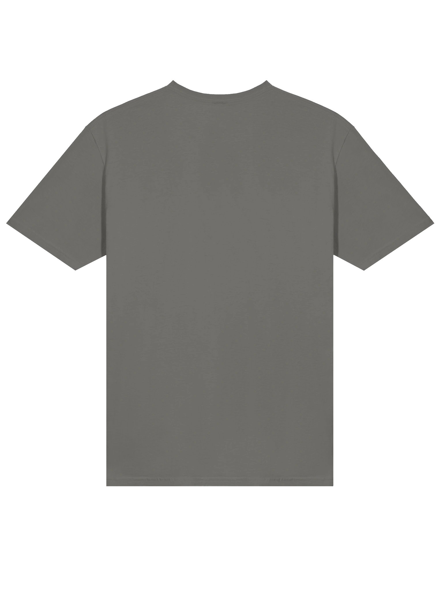 Wild Hearts Soft-style Tee product image (4)
