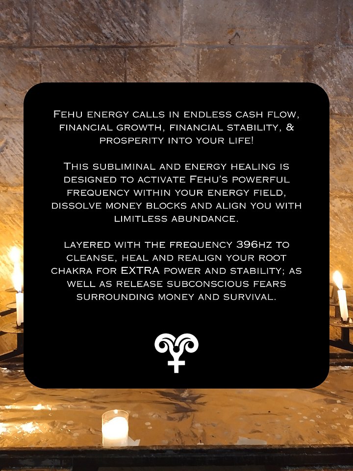 FEHU Rune WEALTH Subliminal, Norse Viking Energy Healing for Wealth & Abundance, Remove Money Blocks! product image (2)