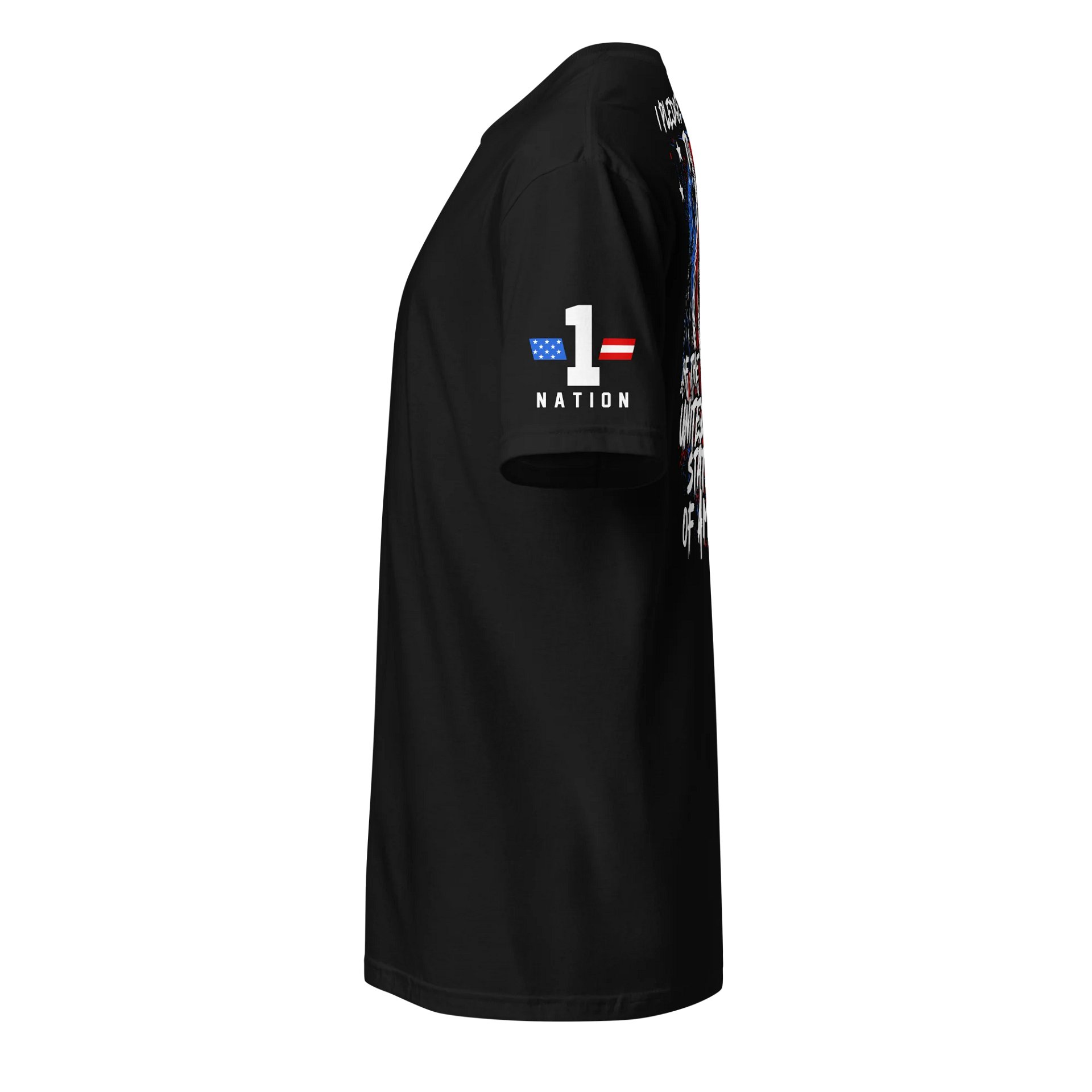 Eagle Pledge of Allegiance product image (3)