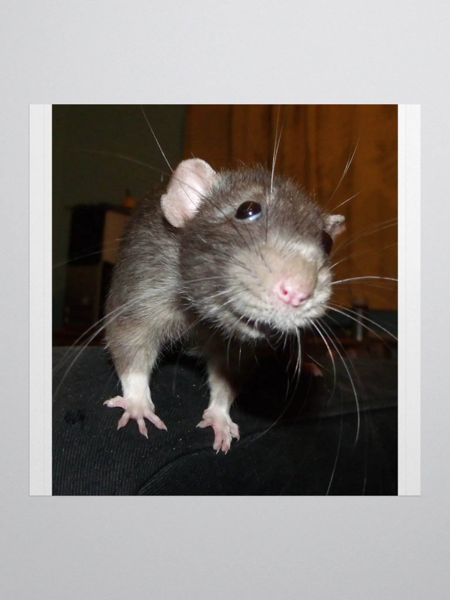 Biff rat sticker product image (1)