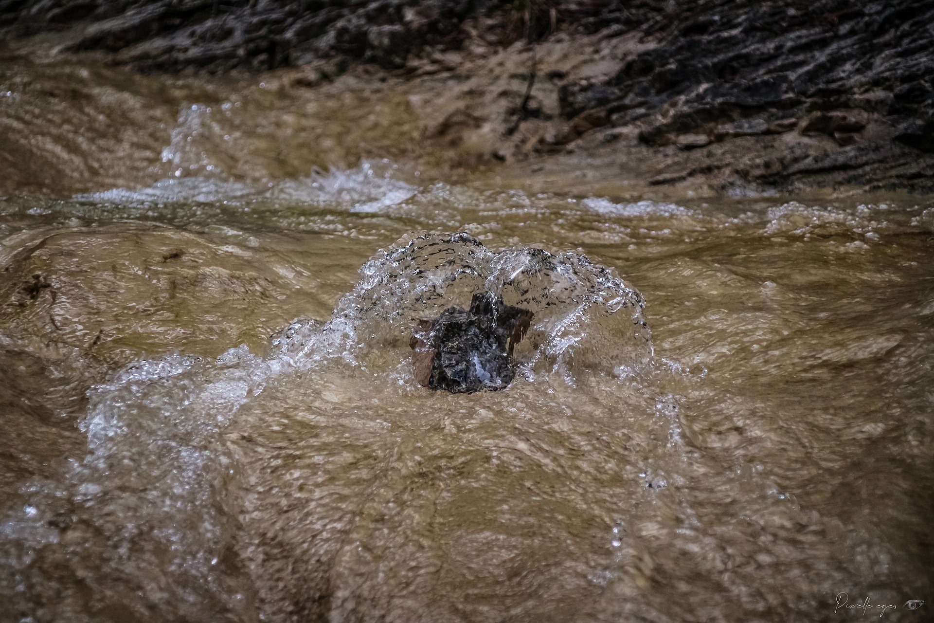 The Heart of the Stream – Nature’s Pulse product image (1)