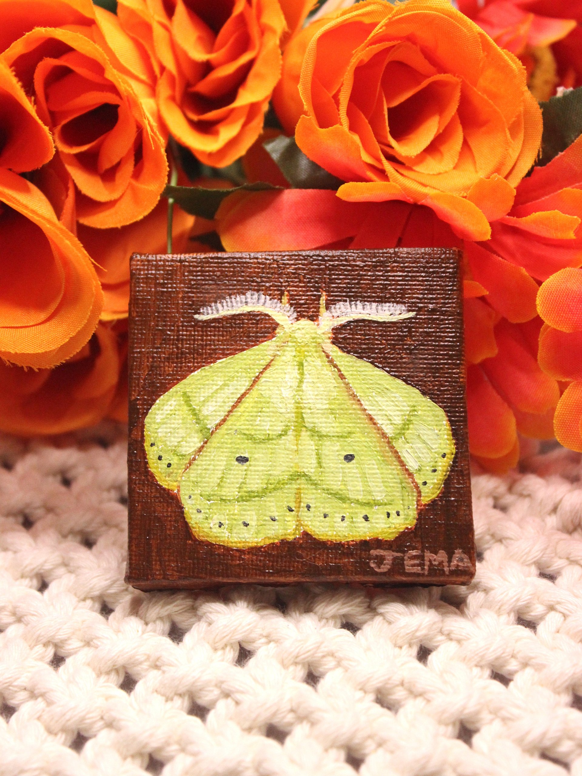 Trabala Garuda Moth Mini Oil Painting product image (1)