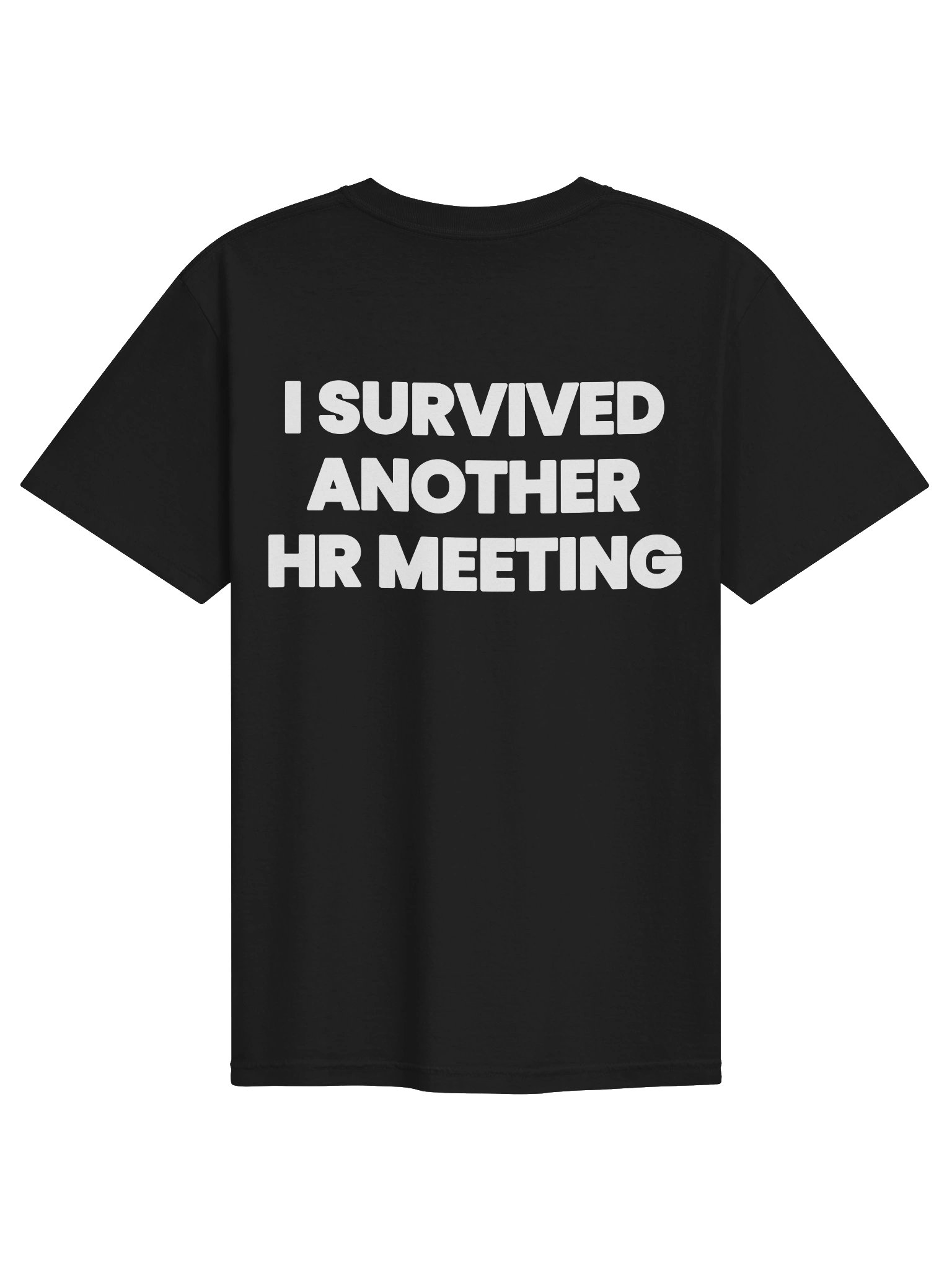I SURVIVED ANOTHER HR MEETING product image (1)