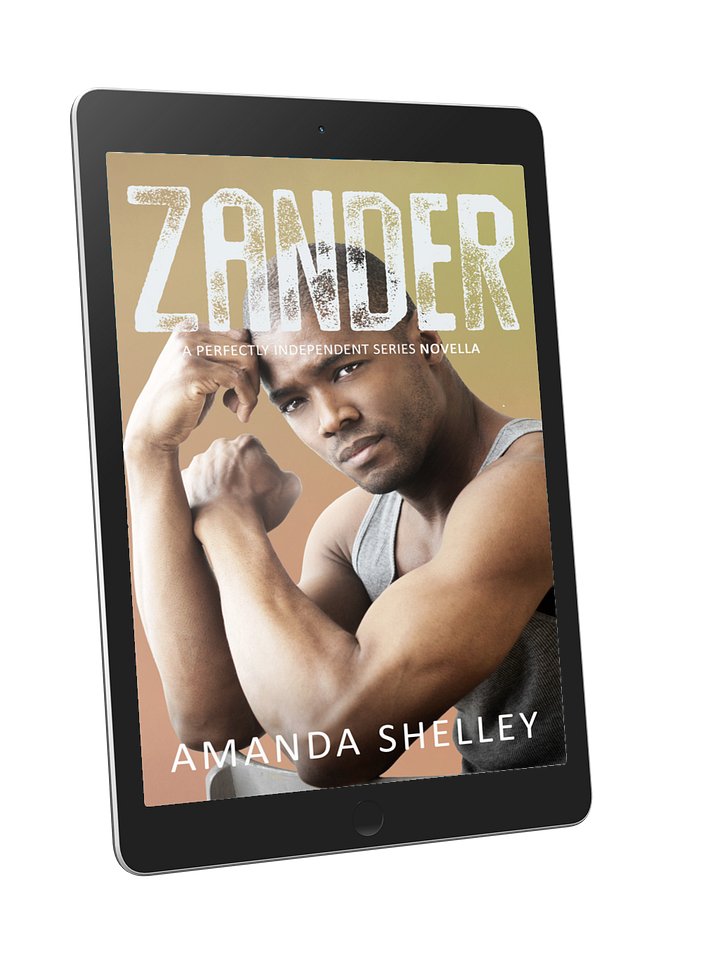 Zander - ebook product image (1)