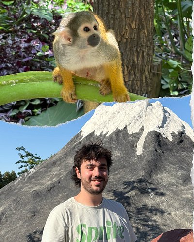 🐵 Twee dagen nog naar @pairidaizaofficial 🦘 Genoeg aapjes weer gezien, dus weer geslaagd 🦒
