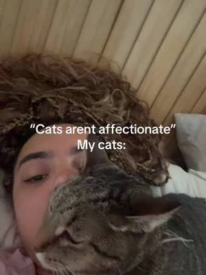 Maybe ur mid? idk #catsoftiktok 