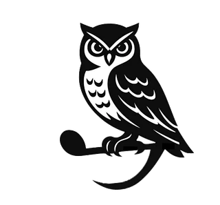 The Night Owls