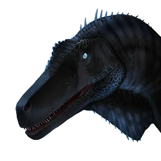 Doqi