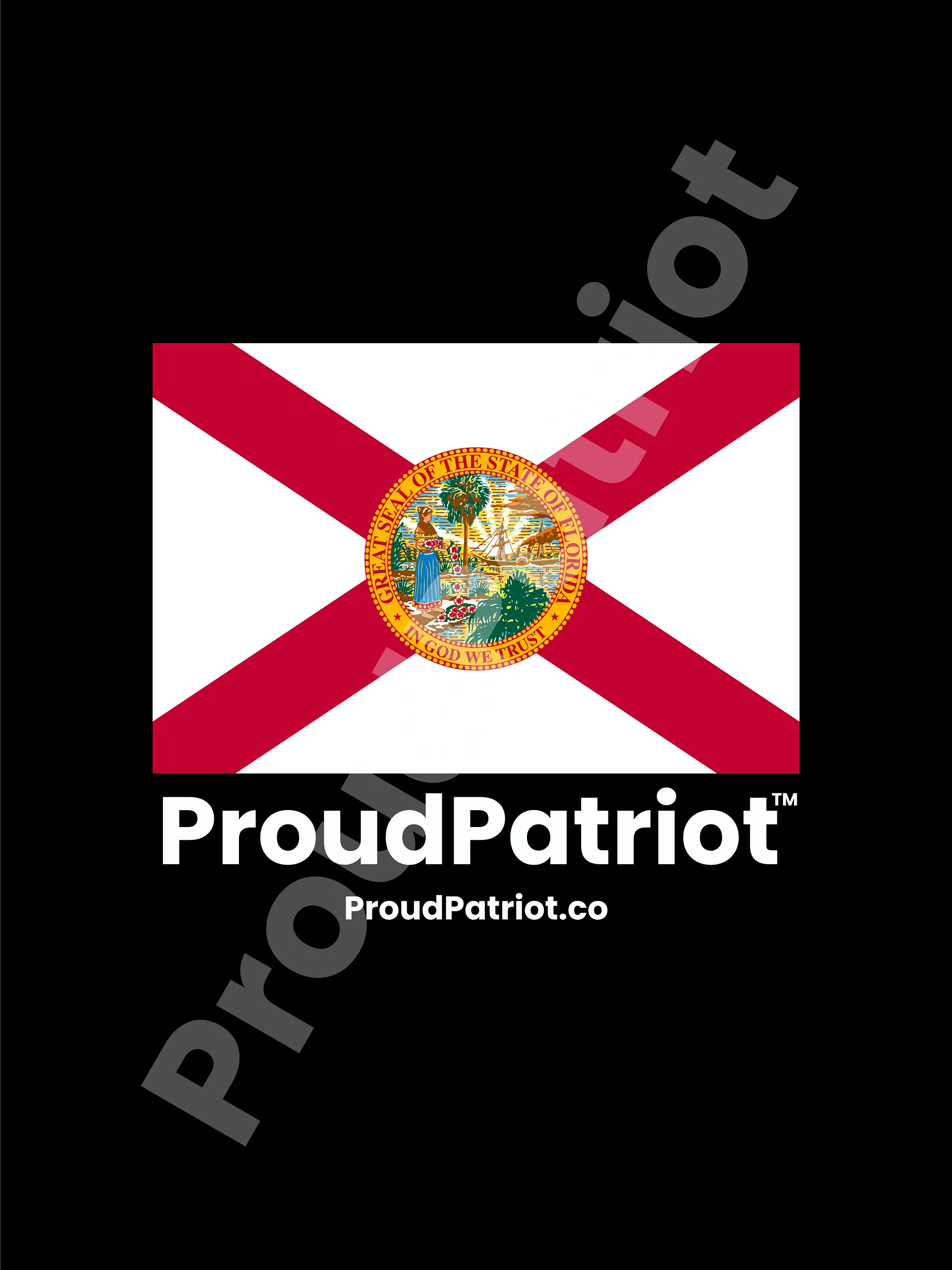 Florida Proud Screensaver Dark Mode product image (1)