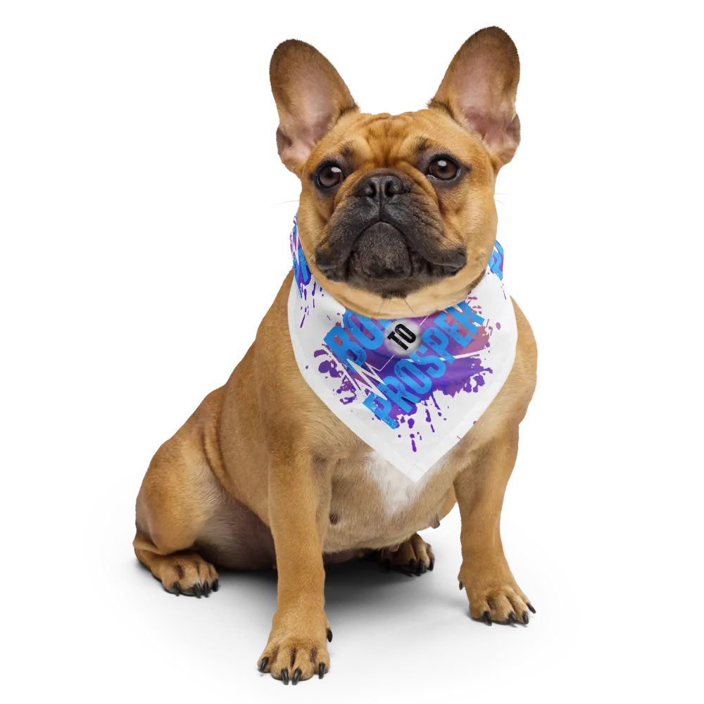 Born to Prosper Patterned Print Bandana product image (6)