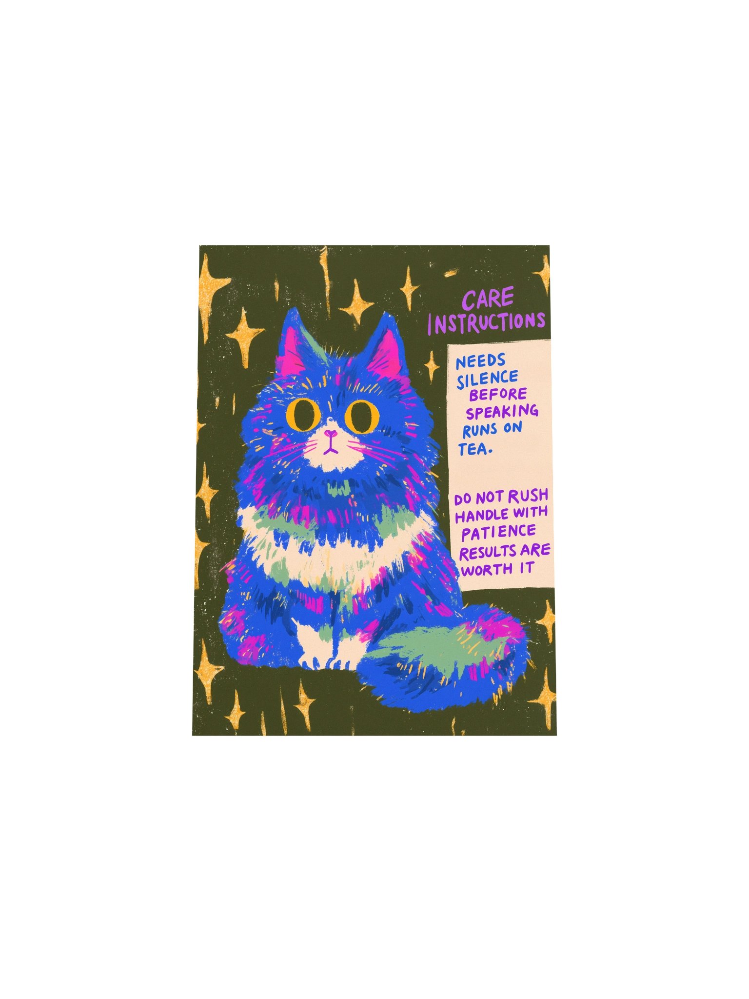 Whimsical Cat Care Instructions Poster product image (29)
